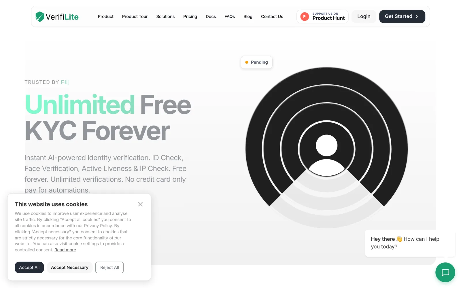Verifilite screenshot