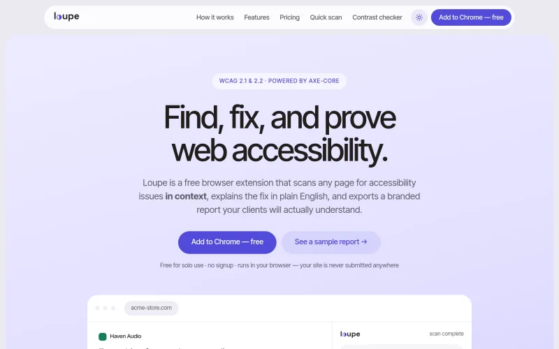 Loupe — find & fix web accessibility issues screenshot