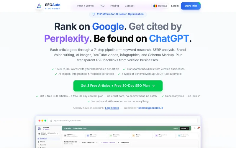 SEOAuto screenshot